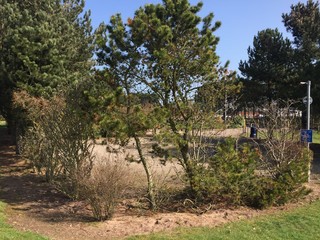 Montrose Golf Course