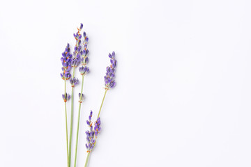 violet lavender flowers arranged on white background. Top view, flat lay. Minimal concept. Dry...