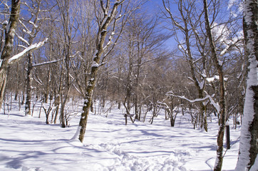 残雪の須山お胎内
