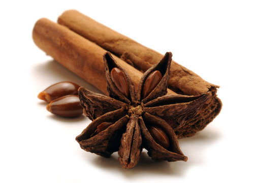 Illicium verum 八角 Đại hồi Cinnamomum verum Cannelier de Ceylan Cannella 锡兰肉桂 Anice stellato Ceylon-Zimtbaum قرفة حقيقية