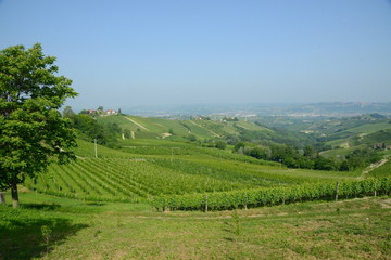 イタリア、ワインの里ピエモンテの風景