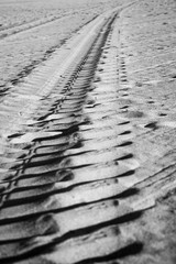 Beach Tracks