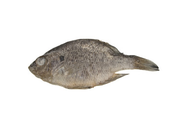 dried fish isolated on white background