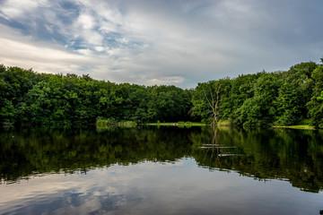 Blue sky over a lake at Haagse Bos, forest in The Hague