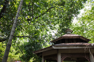 A small wooden pavilion in the forest.