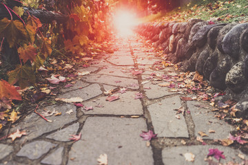A Stone walking path, red leaves scattering on it. Leading into artificial sunlight at the end. Autumn mood with retro digital filter effect.