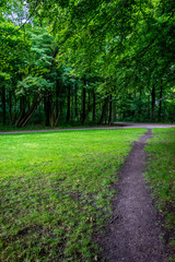Fototapeta na wymiar Narrow muddy path surrounded by grass in Haagse Bos, forest in The Hague