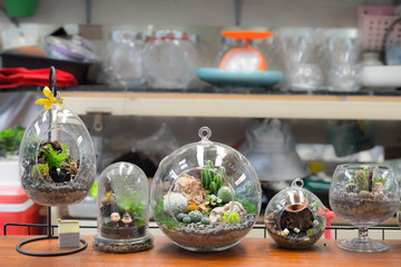 Mini garden in glass plant terrarium with rose flowers made of fabric. Colorful of decoration artificial flower