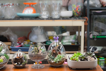 Mini garden in glass plant terrarium with rose flowers made of fabric. Colorful of decoration artificial flower