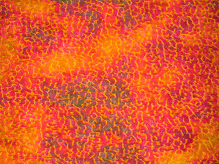 colour paper background