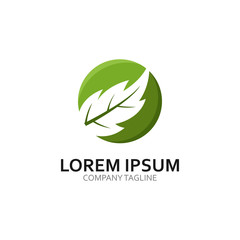 ecology logo modern leaf icon illustration