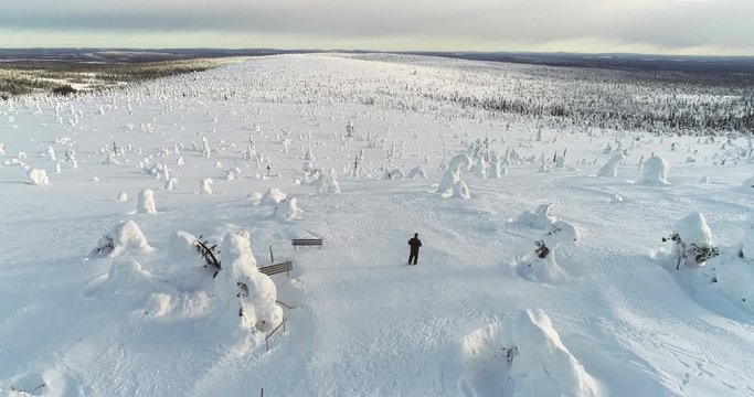 Man walking on a snowy mountain, Cinema 4k aerial view of a male hiking on the top of a fjeld tunturi, full of snow covered trees, on a cold winter day, in Riisitunturi national park, Lapland, Finland