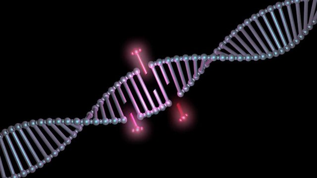 DNA editing, repair, engineering. Insertion of segements.Diagonal view.3d animation