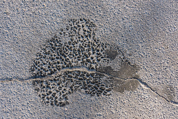 background texture of a crack on a road surface close-up in the sun. The concept of bad road production technologies.