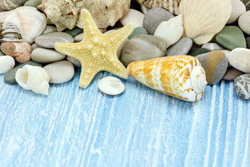Fototapeta na wymiar various seashells, marine stones and starfish on blue rustic wooden boards, macro view