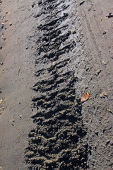 Track of a crawler tractor