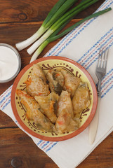 Stuffed Rolled Cabbage meat in Leaves in a Ceramic Plate with White Napkin,Parsley on a Rustic Wooden background. Traditional Romanian Russian Ukrainean Food.