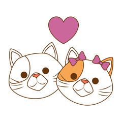 cute cats mascots head with hearts characters vector illustration design