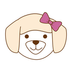 cute dog breed head character vector illustration design
