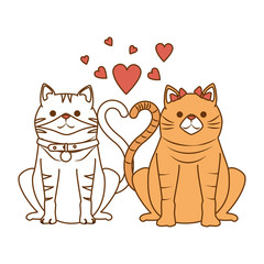 cute couple cats mascots with hearts characters vector illustration design