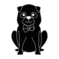 cute dog breed character vector illustration design