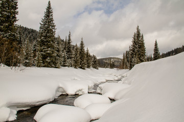 A river in a snowy forest.