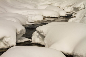 A river in a snowy forest.