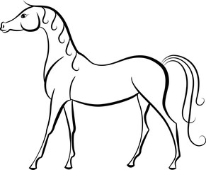 Fototapeta na wymiar A exterior sketch of a horse.