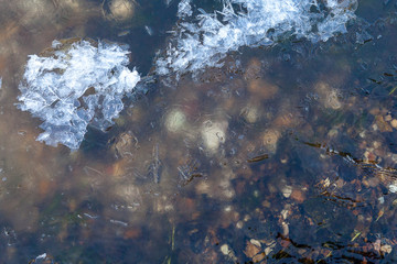 First light ice on the forest spring