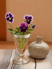 花瓶に入れたカラフルなビオラの花、和室