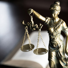 Themis figure in library