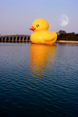 sea Landscape and scenery.