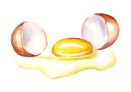 Broken egg. Watercolor hand drawn illustration  isolated on white background