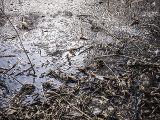 ice in spring Park