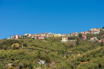 Fototapeta na wymiar La Serra - Small Village in Liguria Italy