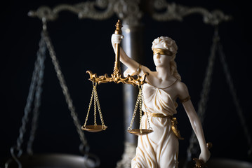 Obraz premium Themis figure in library