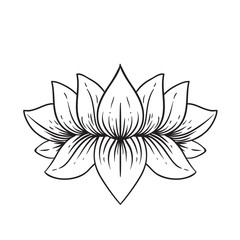 Vector ornamental Lotus flower, ethnic art, patterned Indian paisley. Hand drawn illustration. Invitation element. Tattoo, astrology, alchemy, boho and magic symbol.