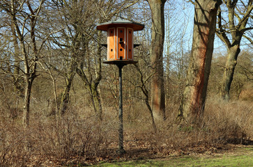 Large, color, decorative birdhouse in city park. Spring. Housing for small birds. Bird feeder.