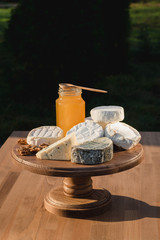 cheese plate. different cheeses on a wooden plate