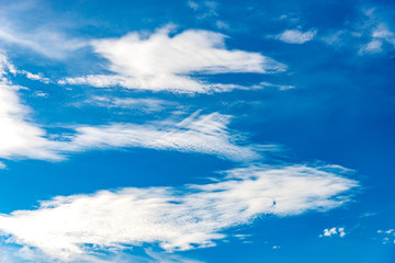 Fototapeta na wymiar Blue sky background with tiny clouds on season summer.