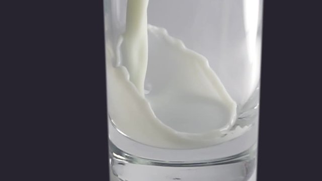 Pouring milk in long stream into a glass on black background