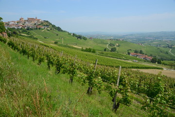 Fototapeta na wymiar イタリア、ワインの里ピエモンテの風景