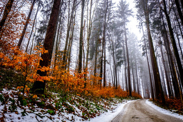 old country road in winter
