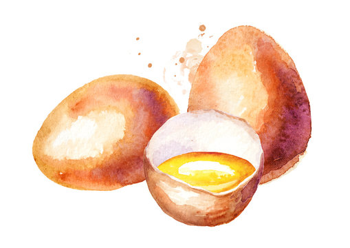 Eggs composition. Watercolor hand drawn illustration, isolated on white background