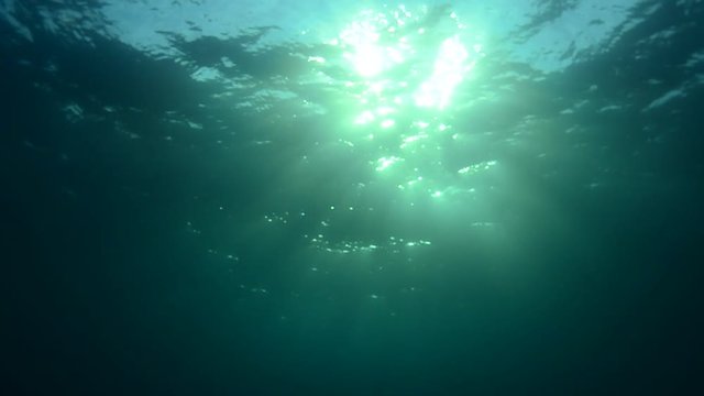 sunbeam underwater