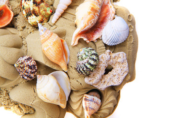 sand objects with sea shells isolated