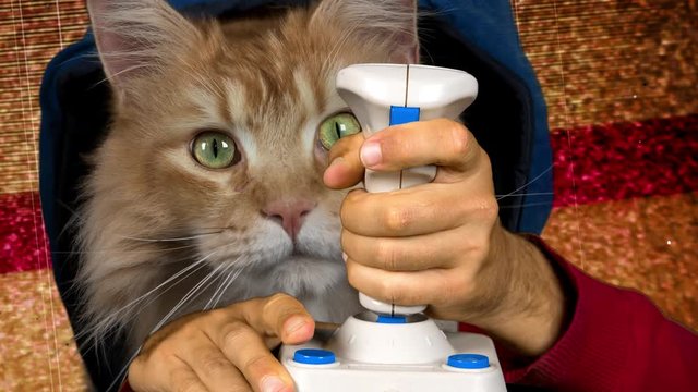 a cool cat playing retro computer arcade game with a joystick