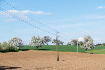 Strommasten im Frühjahr