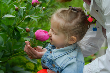 The little girl in the garden with peonies flowers.