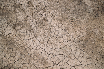 Background Dry Cracked Soil Dirt Or Earth During Drought. Dry Cracked